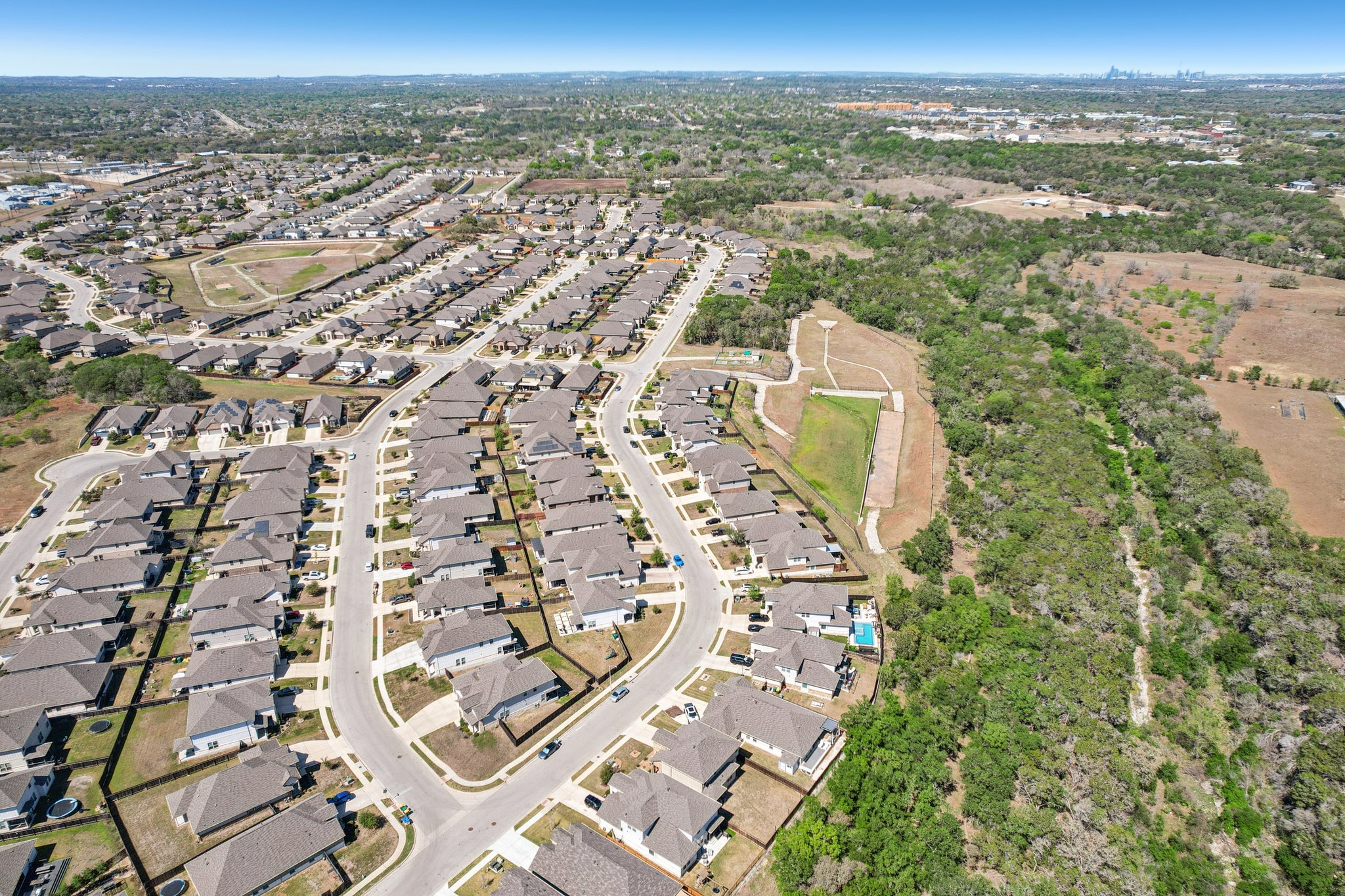 Goldilocks Ln-S2503-055.jpg