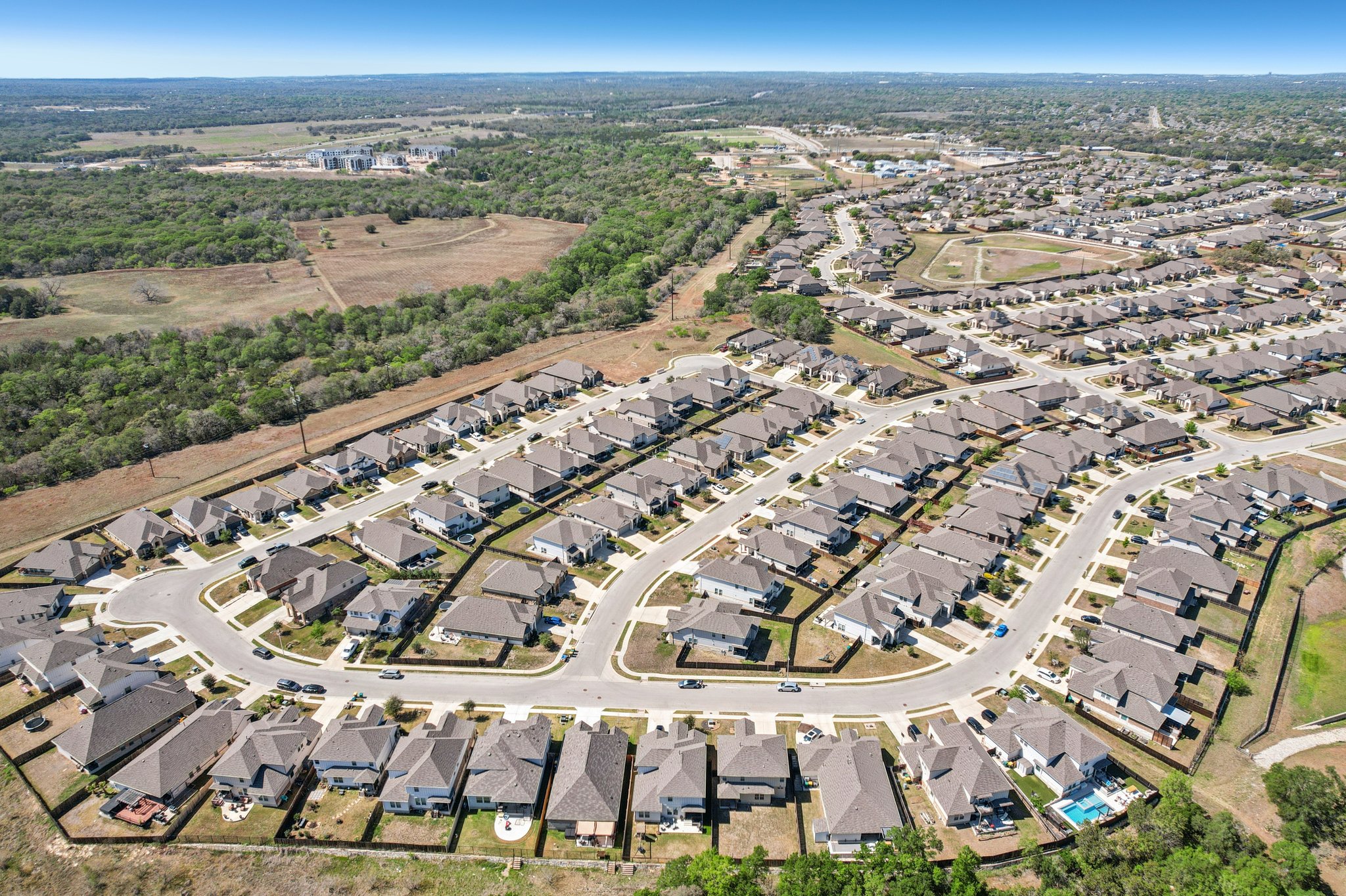 Goldilocks Ln-S2503-056.jpg