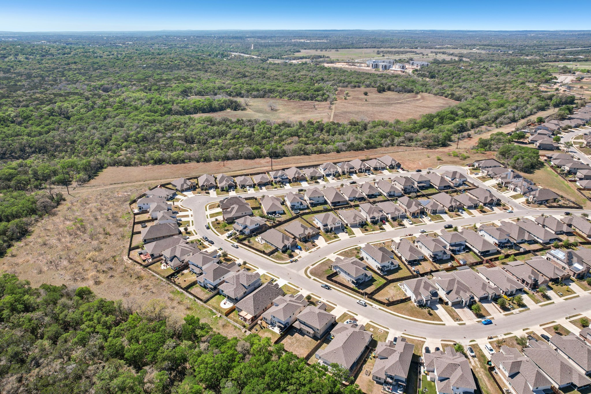 Goldilocks Ln-S2503-057.jpg