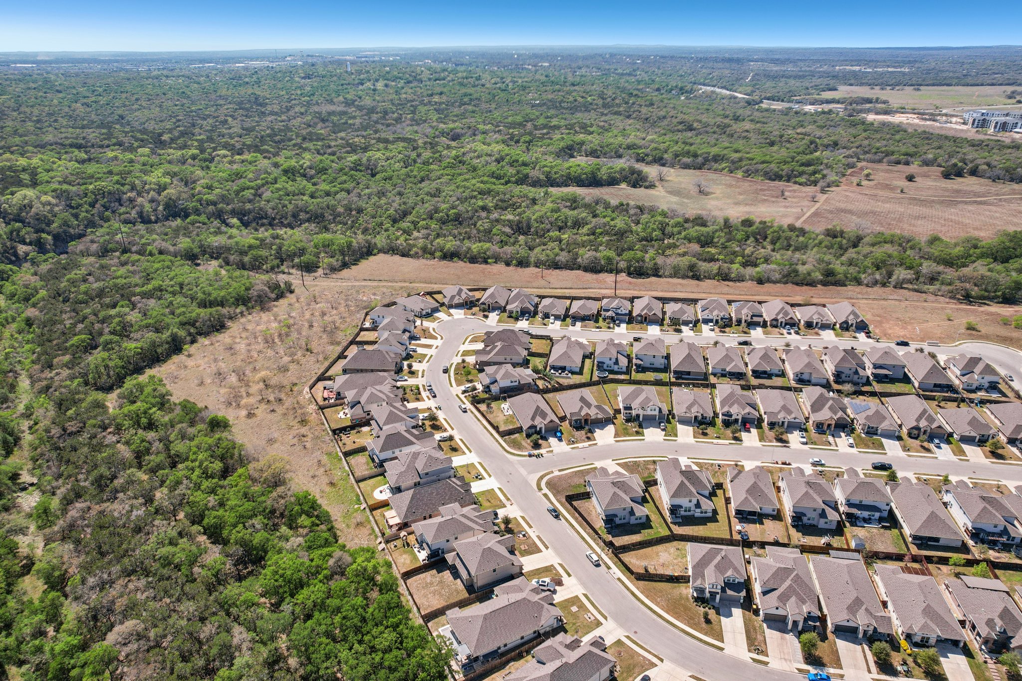 Goldilocks Ln-S2503-058.jpg