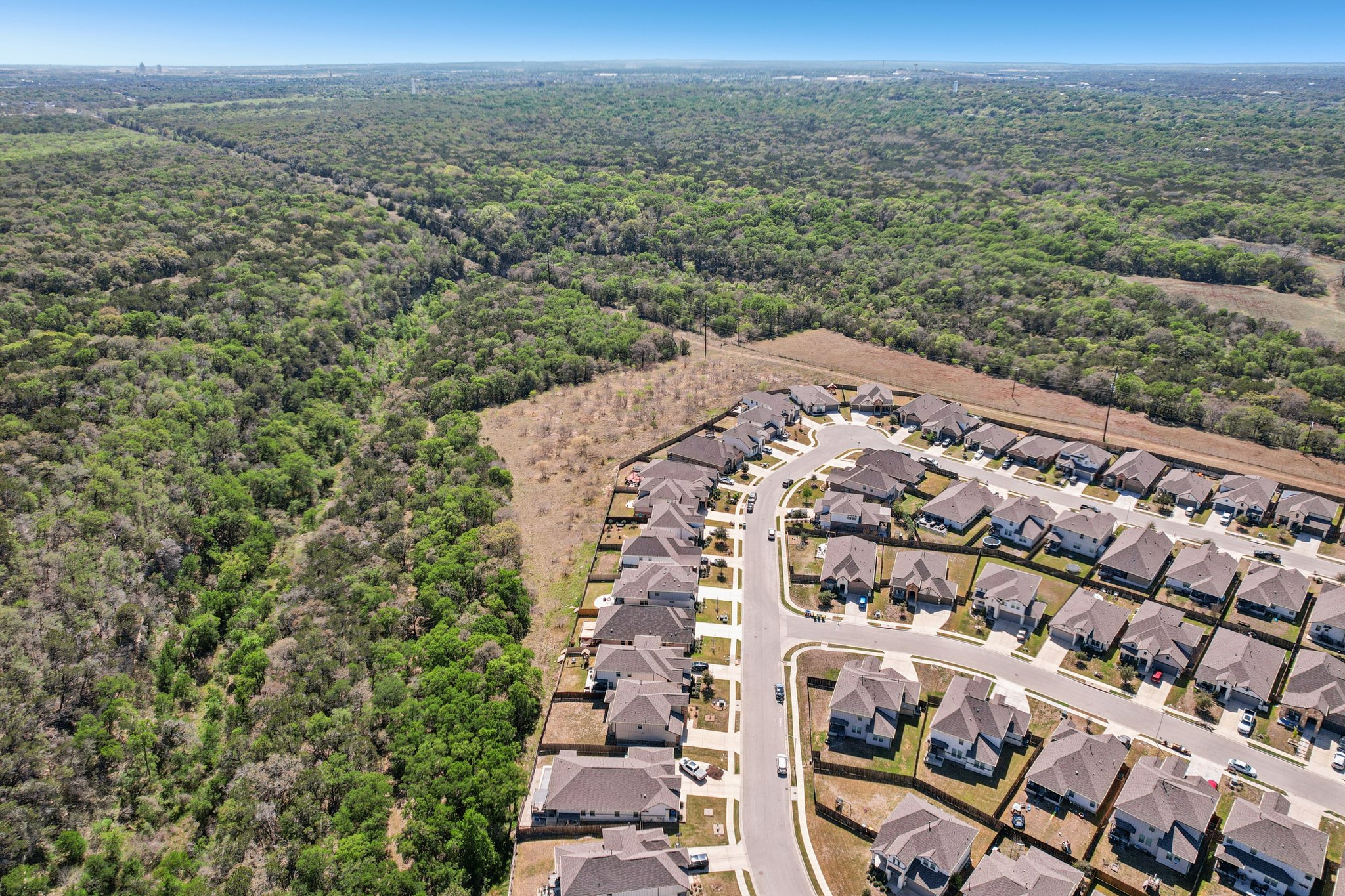 Goldilocks Ln-S2503-059.jpg