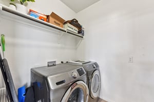 Goldilocks Ln-S2503-016.jpg