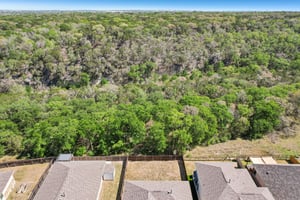 Goldilocks Ln-S2503-046.jpg