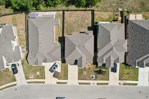 Goldilocks Ln-S2503-049.jpg