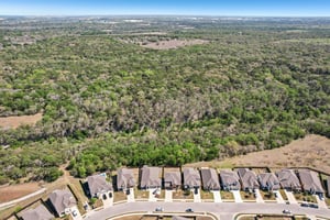 Goldilocks Ln-S2503-050.jpg