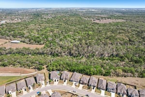 Goldilocks Ln-S2503-052.jpg