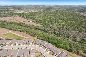 Goldilocks Ln-S2503-053.jpg