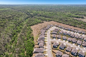 Goldilocks Ln-S2503-059.jpg