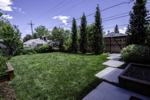  Photo 39
