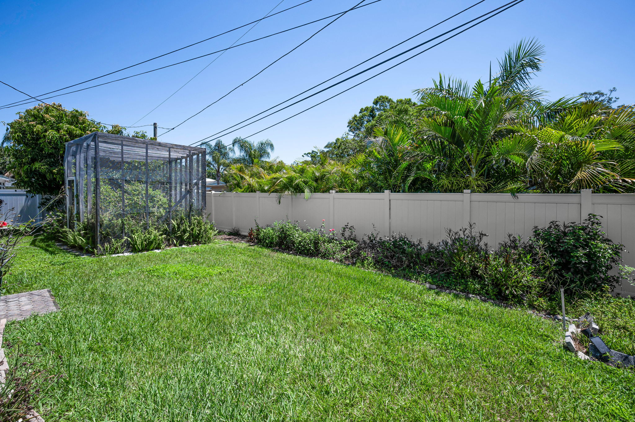Backyard1