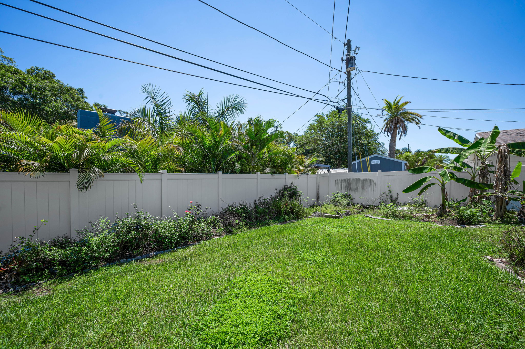 Backyard5
