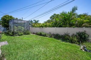 Backyard1