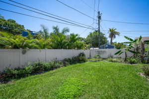Backyard5