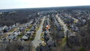  Photo 48