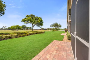 View from Rear Patio