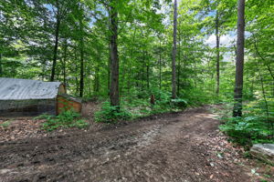  Photo 47