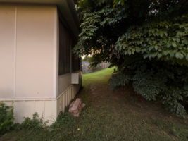  Photo 52