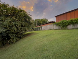  Photo 48