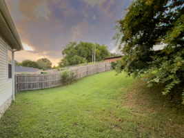  Photo 50