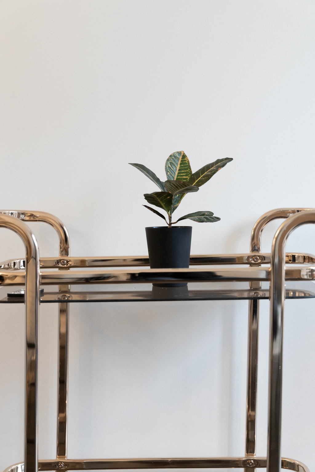 Toronto property showcase — delivered property photograph 28