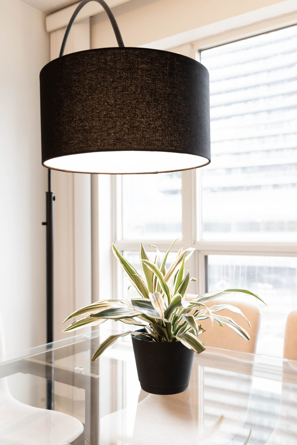 Toronto property showcase — delivered property photograph 29
