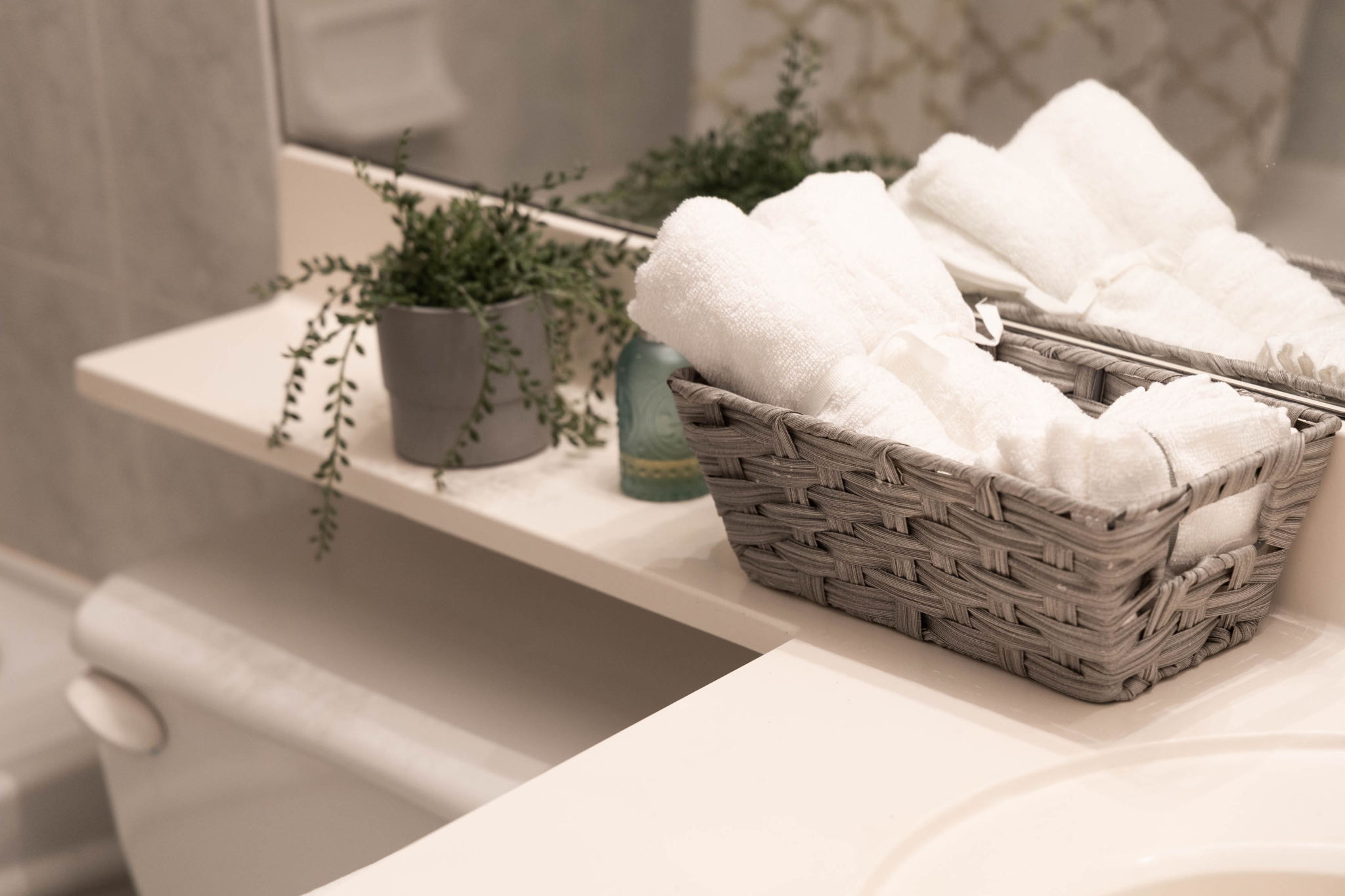 Toronto property showcase — delivered property photograph 21