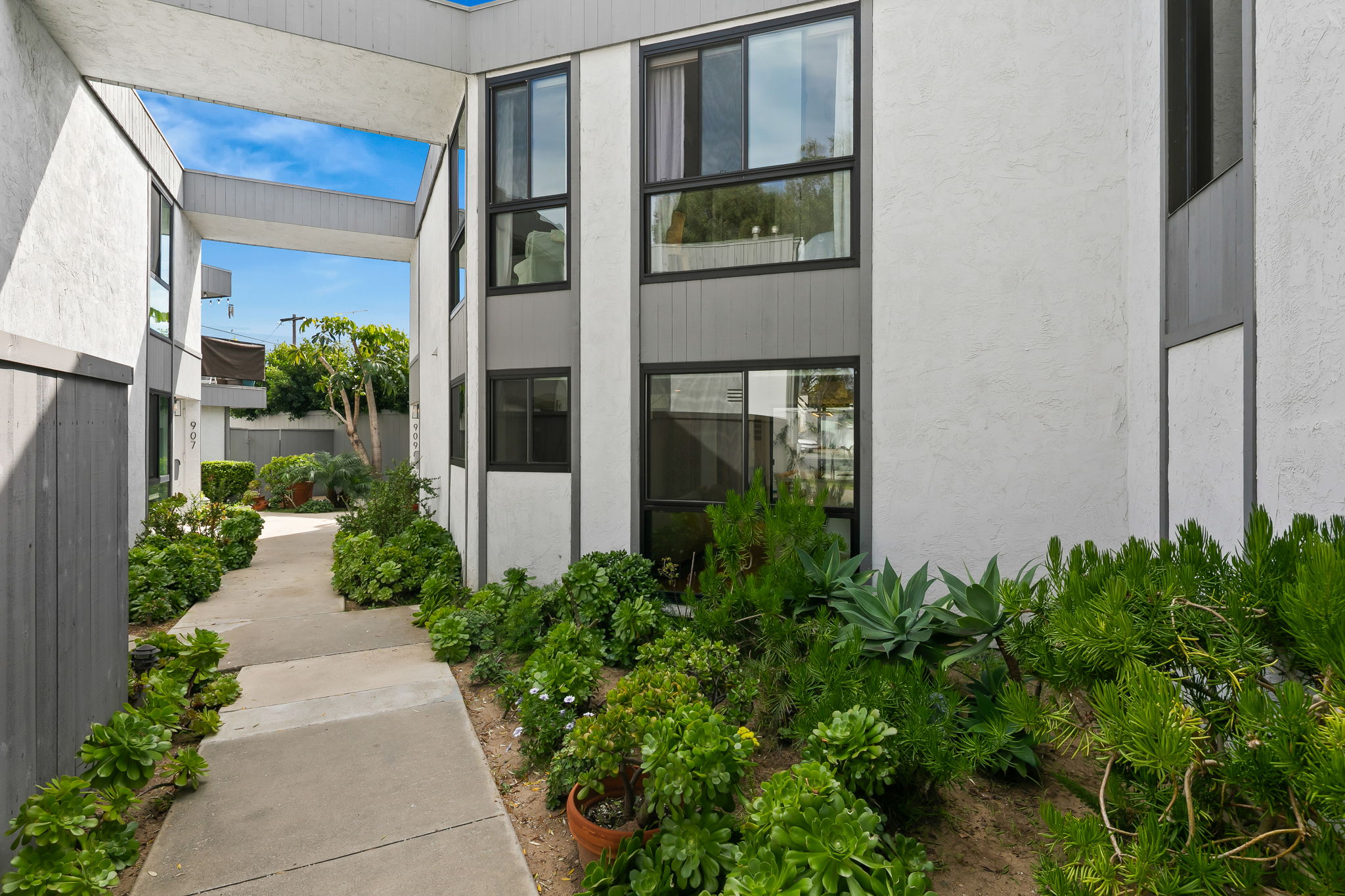 909 Olive-209