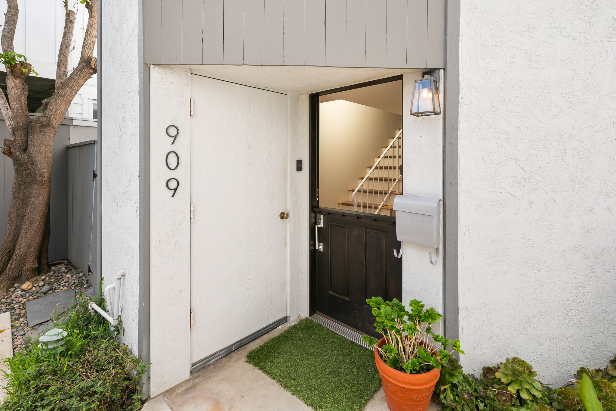 909 Olive-206