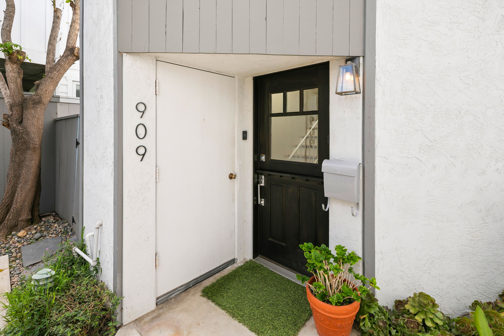 909 Olive-205