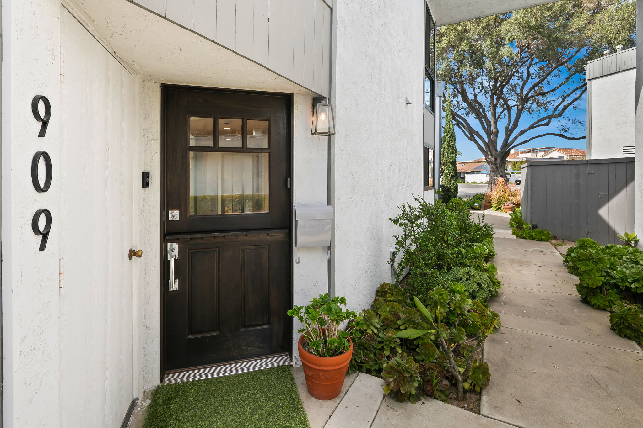 909 Olive-204