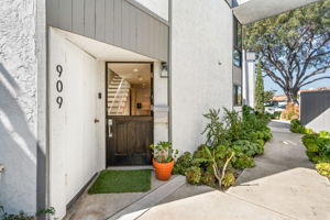 909 Olive Ave-36