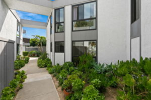 909 Olive-209
