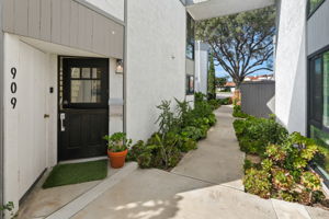 909 Olive-207