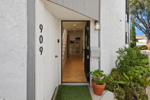 909 Olive-202