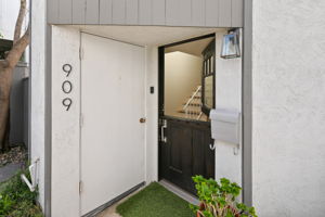909 Olive-200