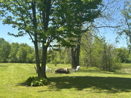  Photo 36