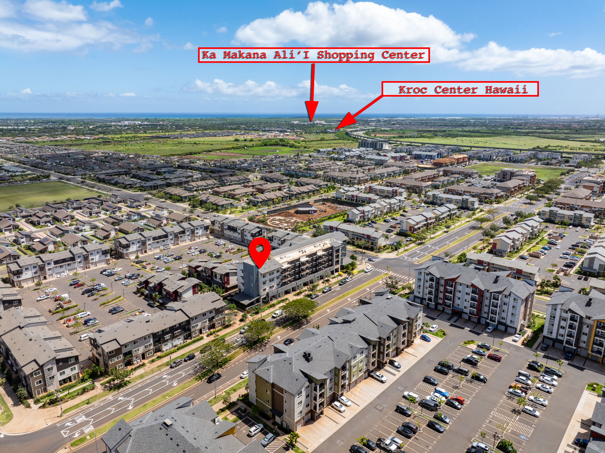  Photo 98