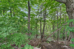  Photo 79