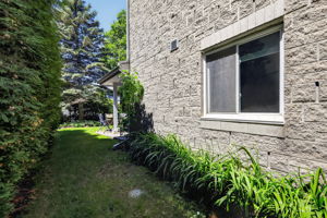 Photo 49