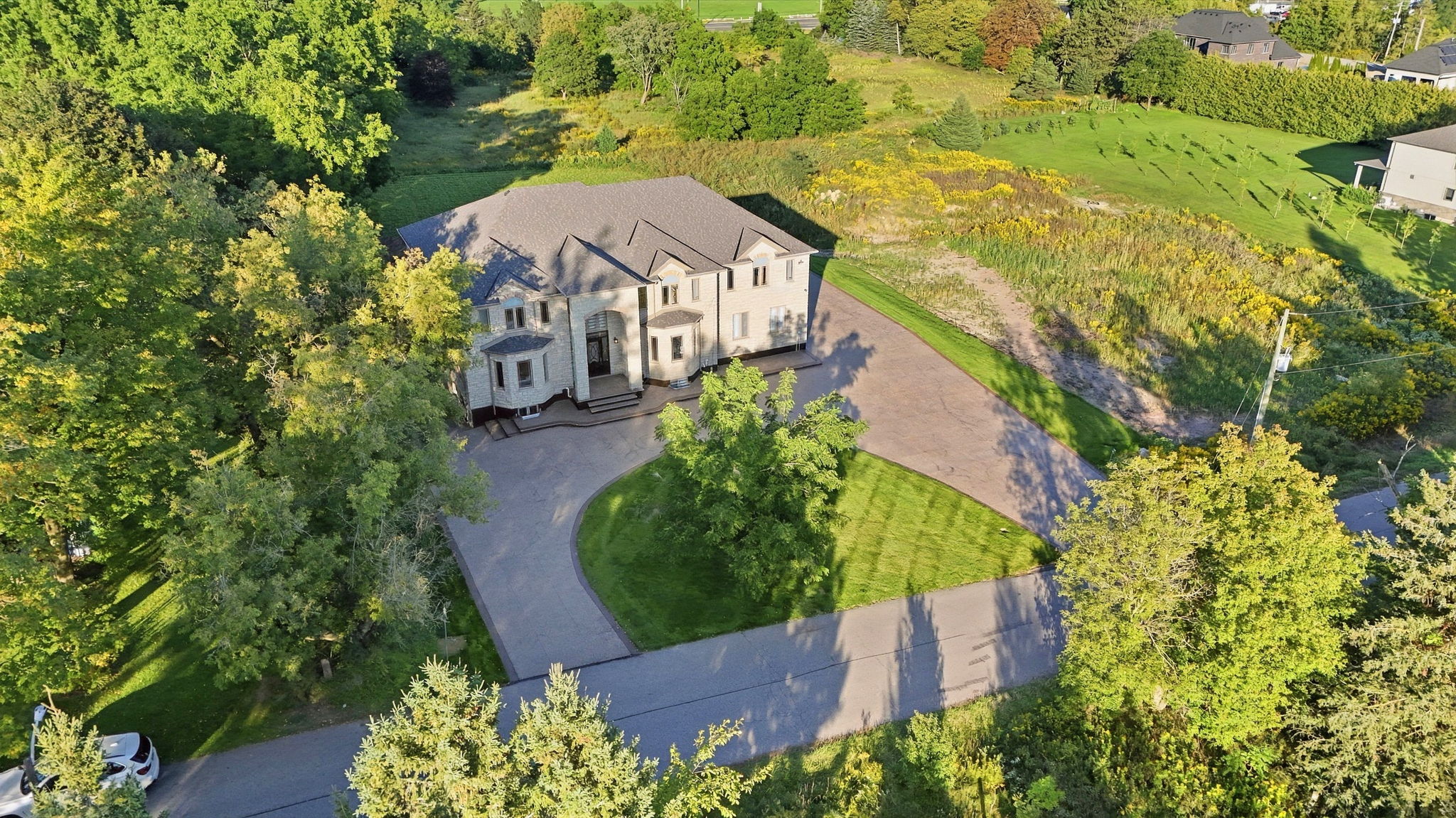  Photo 89