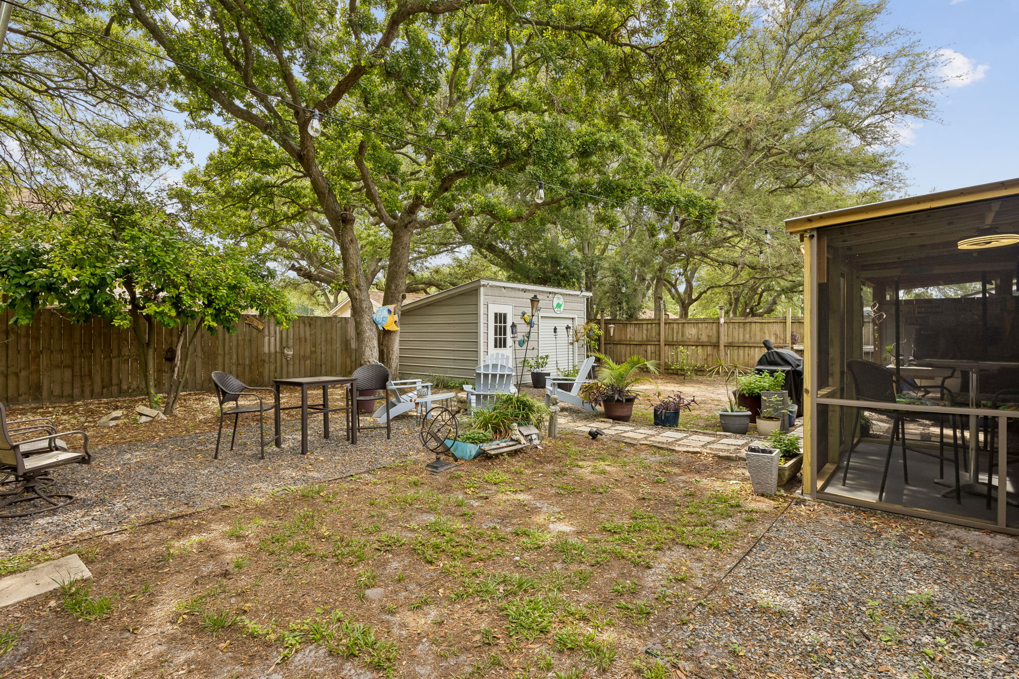 Backyard