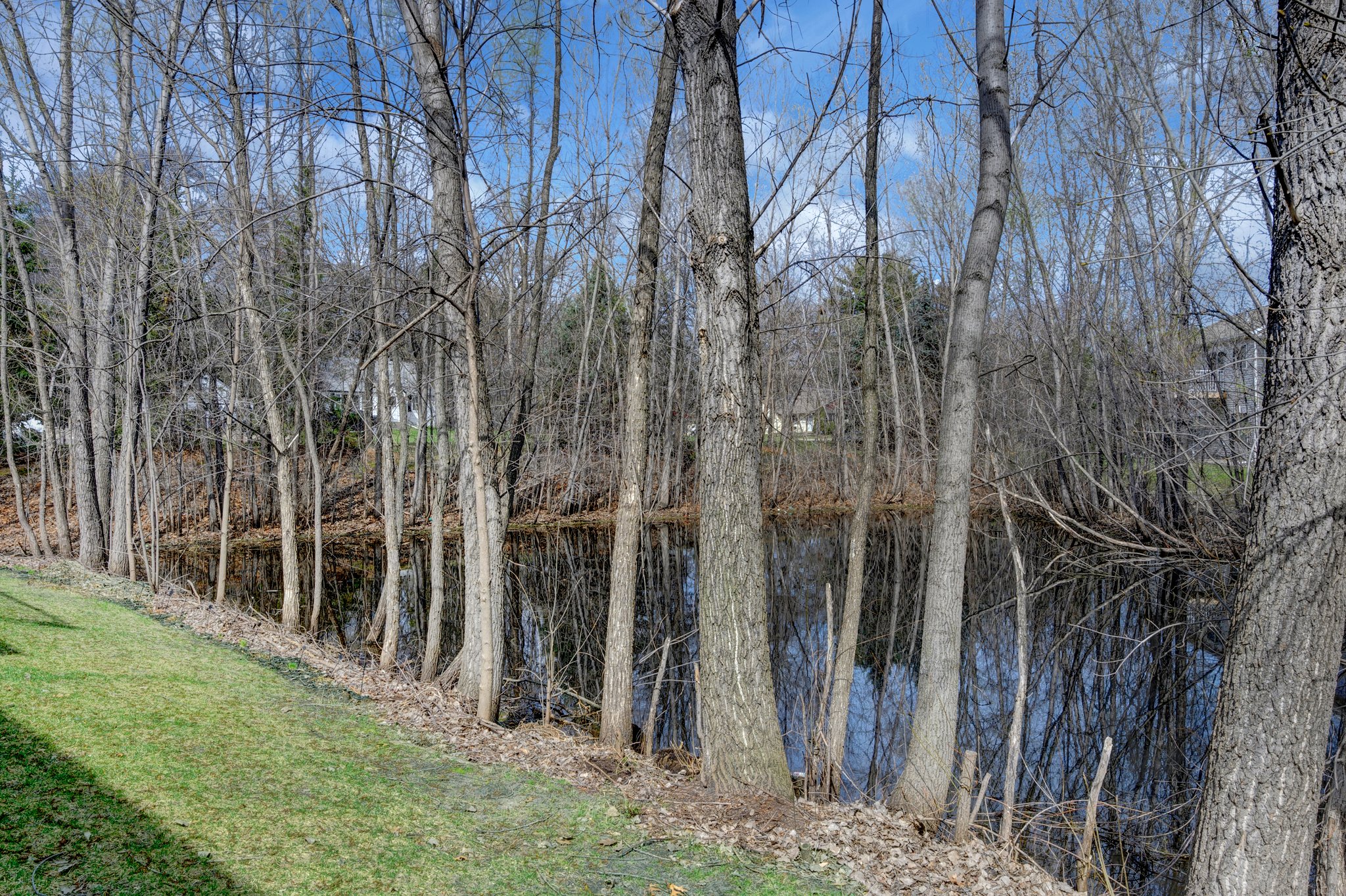 910 Village Pkwy, Circle Pines, MN 55014, US Photo 32