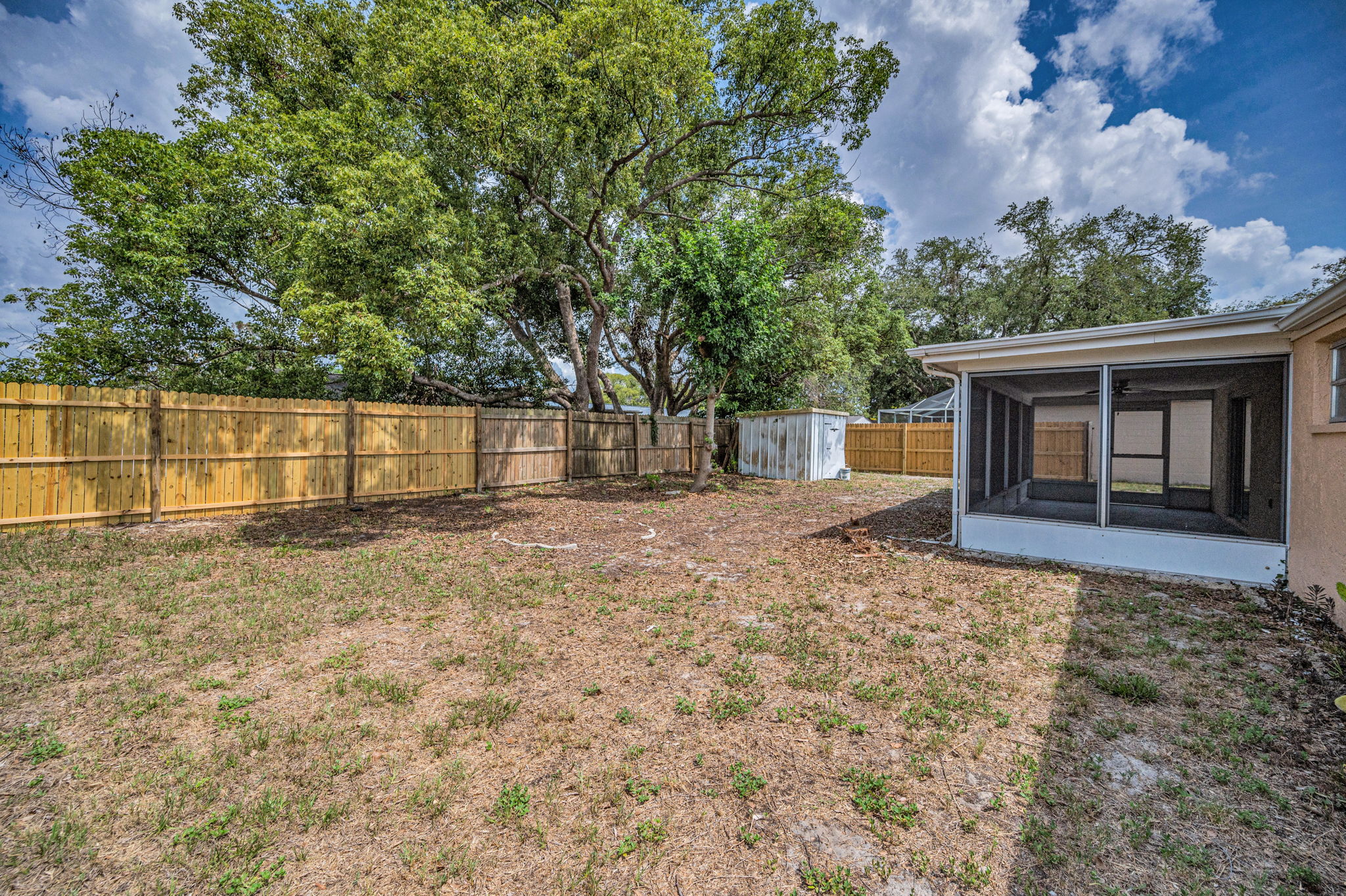 Backyard4