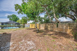 Backyard1