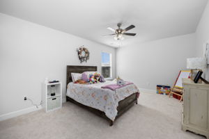  Photo 45