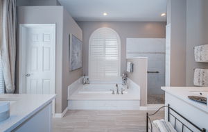 Master Bathroom1a