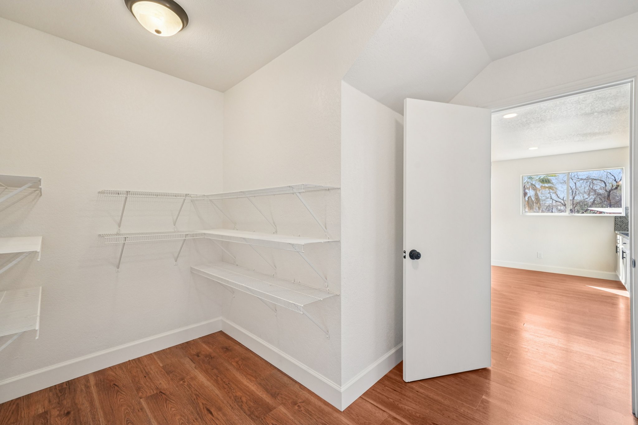 Sycamore Cv-S1002-019.jpg