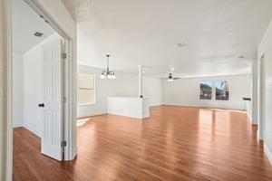 Sycamore Cv-S1002-004.jpg