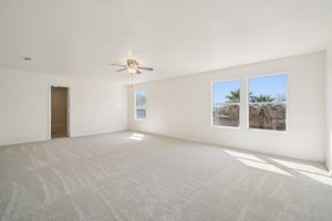 Sycamore Cv-S1002-020.jpg