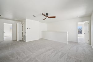 Sycamore Cv-S1002-026.jpg